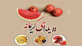 پویش «شب یلدا» برای خانواده های معلولان در اردبیل اجرا می شود