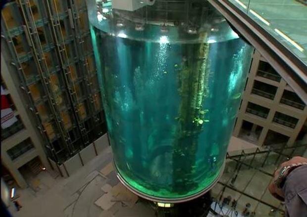 شکستهشدن آکواریوم هتل، فاجعه به بار آورد