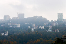 کاهش تدریجی سطح جنگلهای هیرکانی در شمال ایران در دهههای اخیر به دلایل مختلف نظیر تخریب و تصرف، ویلاسازیها، جادههای دسترسی، آتشسوزیها و قاچاق با چشم غیر مسلح نیز ملموس و مشهود است.