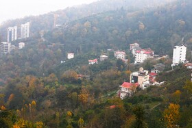 شکی نیست در آینده جنگلهای شمال و تنوع زیستی را از دست خواهیم داد و با کاهش آب شیرین و بیابانزایی مواجه خواهیم بود.