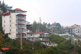 از 18 میلیون هکتاری اراضی جنگلی در کشور که امروزه به 12 میلیون هکتار رسیده سهم استان مازندران حدود 52 درصد سطح کل اراضی جنگلی است که بخش عمده آن را جنگلهای هیرکانی تشکیل میدهد.