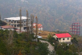 افزایش  آلایندههای آب و خاک، سیل و خشک شدن تالابها، از بین رفتن منابع آبی، طغیان بیماریها و آفات همه نتیجه از بین رفتن جنگلها بود که این پیامدها را در آیندهای نه چندان دور خواهیم داشت.