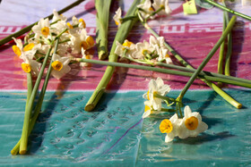 نشست وحدت حوزه و دانشگاه _ بیرجند