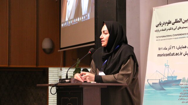 از نظر سنتی هم اقتصاد دریا موفقی نداشتهایم/دانشگاه در زمینه دریا باید ماموریتگرا باشد