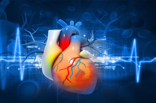 آموزش صفر تا صد تفسیر نوار قلب