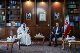 دیدار معاون وزیر امور خارجه قطر با امیرعبداللهیان