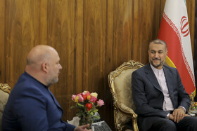 دیدار کارلوس خولیو رون ماتینز معاون وزیر خارجه ونزوئلا با امیرعبداللهیان