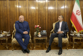 دیدار کارلوس خولیو رون ماتینز معاون وزیر خارجه ونزوئلا با امیرعبداللهیان