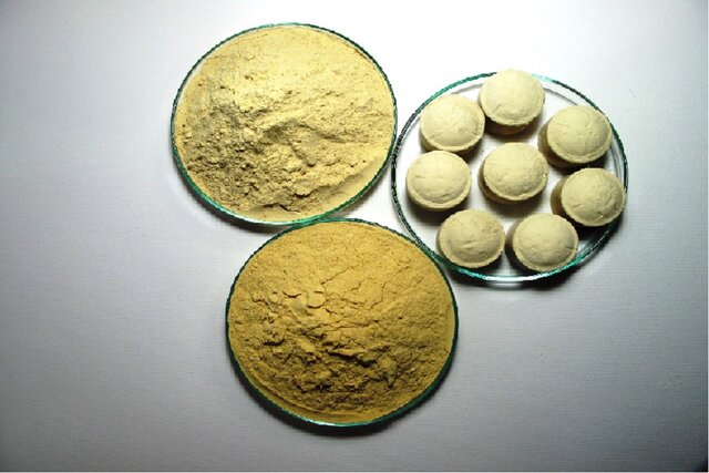 عکس تزئینی است رفع نیاز بازار داخل با «مخمرهای پروبیوتیک» محققان دانشبنیان