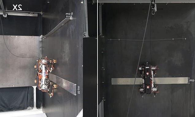 سگ رباتیکی که از دیوار راست بالا میرود!