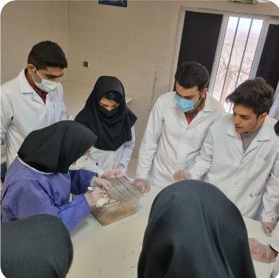 کارگاه آموزشی «آشنایی با مطالعات حیوانی و تشریح حیوانات آزمایشگاهی» برگزار شد