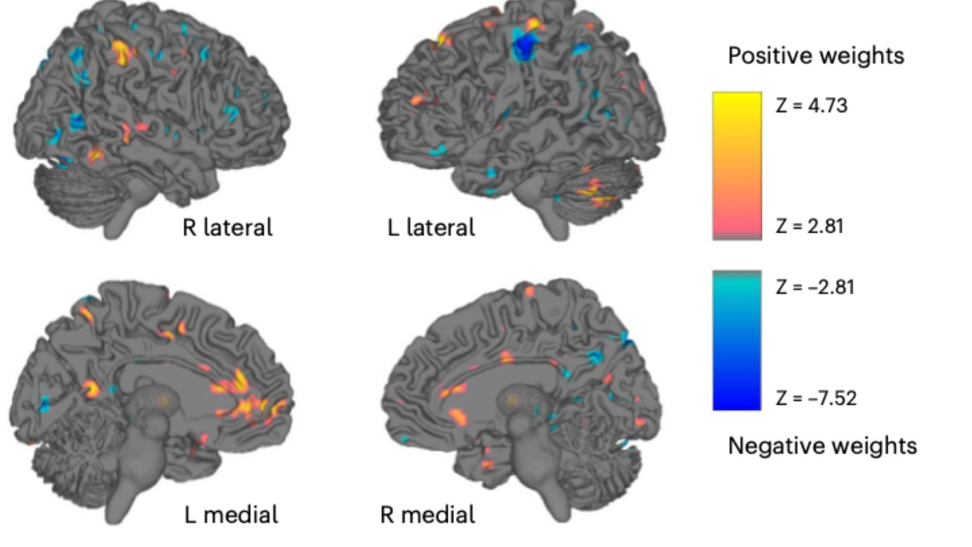 نشانگر زیستی ولع کشف شد