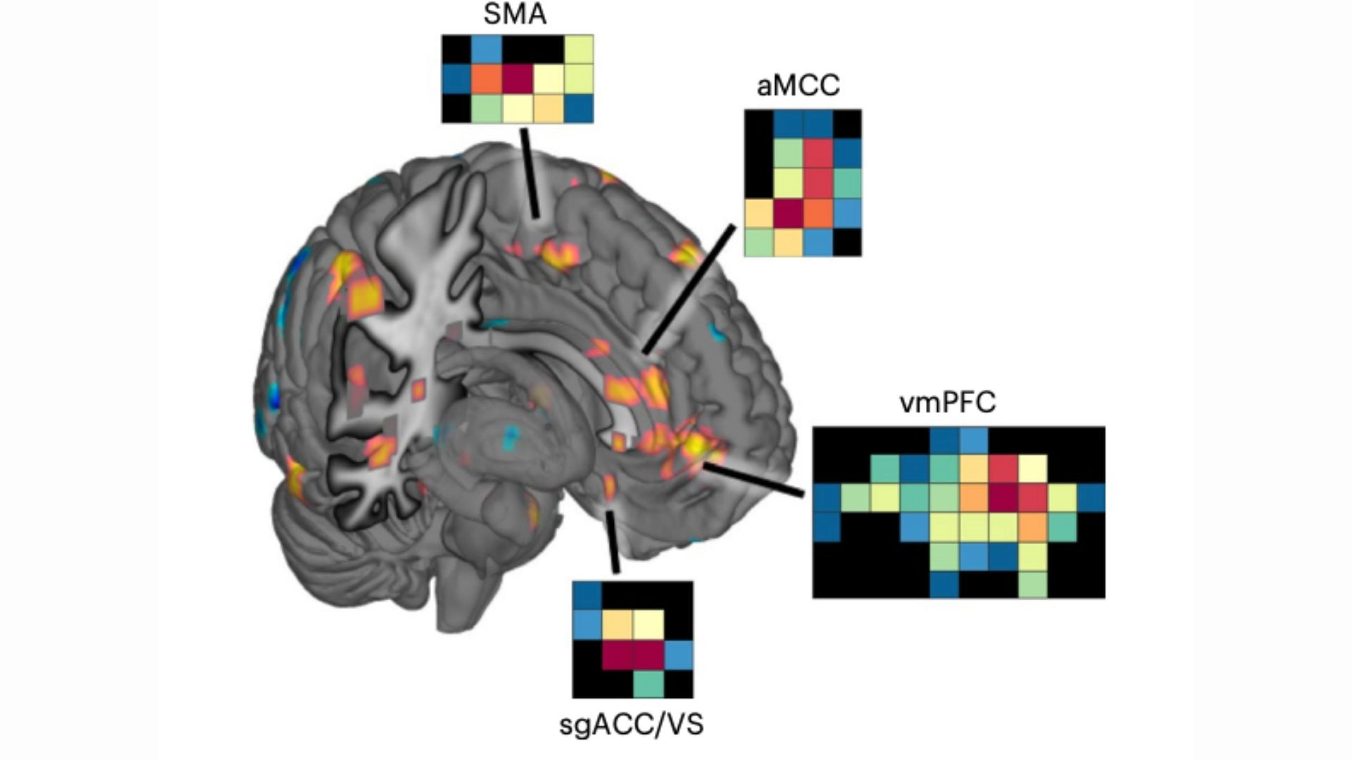 نشانگر زیستی ولع کشف شد
