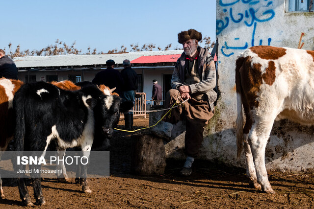 بازار مال فروشان کوچصفهان