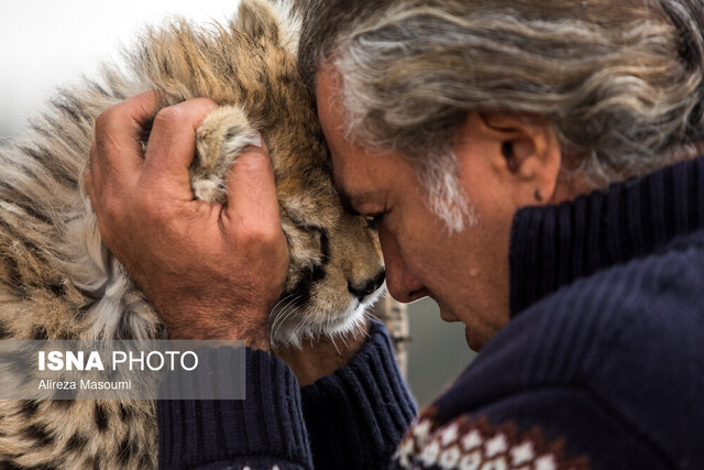«پیروز» در کنار «توران» و «آذر»؟