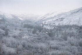 تداوم بارش برف در برخی نواحی چهارمحال و بختیاری