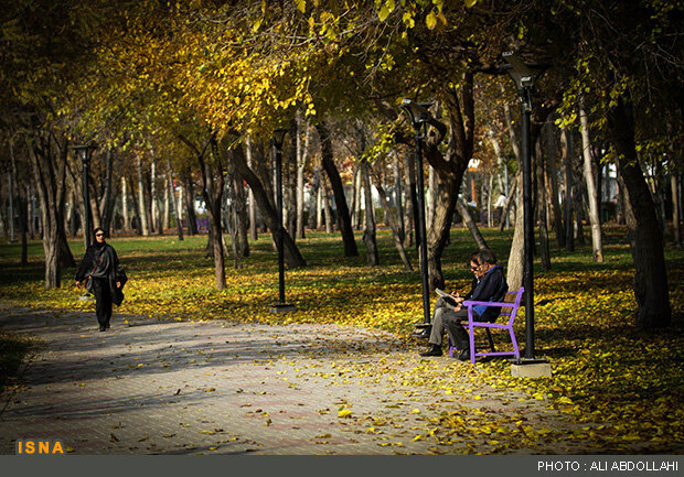 عکس تزیینی است احداث ۲۰ بوستان مادر و کودک تا پایان سال