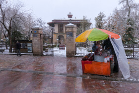 سرما در قزوین ادامه دارد