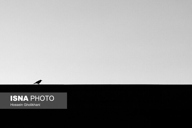 مهمان آسمان شهر