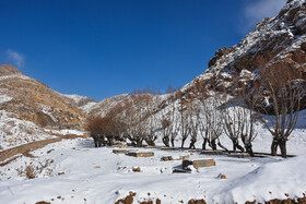 بارش اولین برف زمستانی - شهمیرزاد