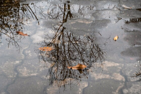 هرمزگان بارانی می شود