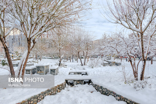ثبت بیشترین بارندگی برف و باران استان سمنان در طزره دامغان