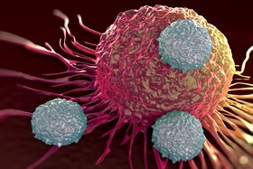 رویکردهای ایمنی برای درمان سرطان سلول‌های کبدی