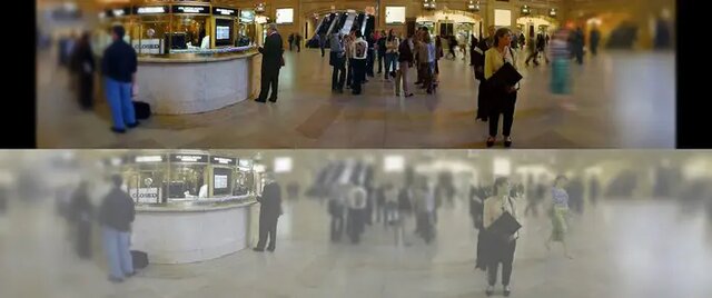 جهان از دید گربهها چگونه است؟