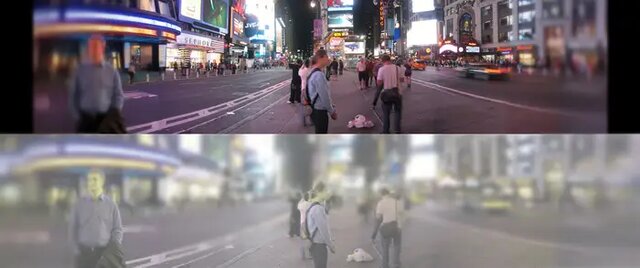 جهان از دید گربهها چگونه است؟