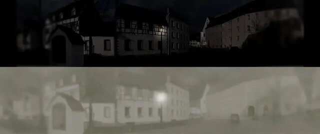 جهان از دید گربهها چگونه است؟