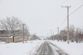 آخرین وضعیت استان یزد در پی بارش برف/از امداد رسانی تا رفع مسدودی محورها