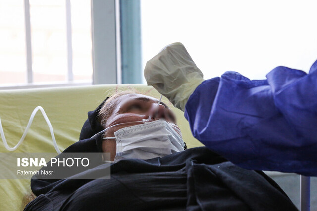 سویههای جدید کرونا هنوز در مشهد مشاهده نشده است/ قدرت سرایت ۵ برابر دلتاست