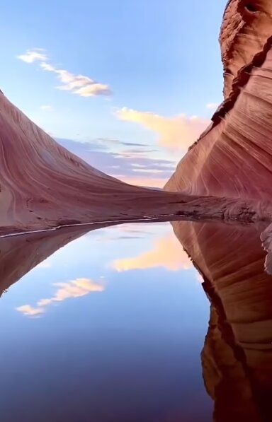 کشف فسیلهای زنده ۵۵۰ میلیون ساله در ایالت آریزونا!