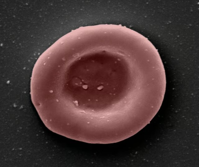 مروری بر مهمترین رویدادهای علمی سال ۲۰۲۲