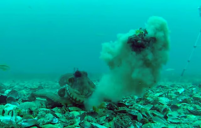 مروری بر مهمترین رویدادهای علمی سال ۲۰۲۲