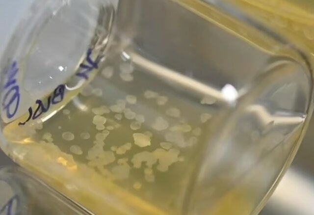 مروری بر مهمترین رویدادهای علمی سال ۲۰۲۲