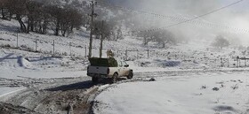 توزیع علوفه در منطقه حفاظت شده باشگل تاکستان