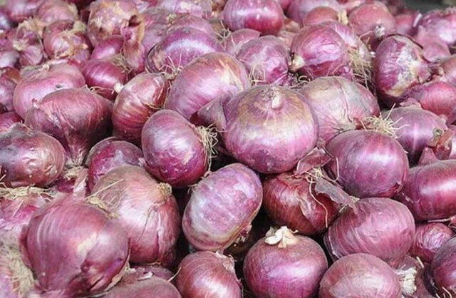 عوارض صادرات پیاز ۱۰۰ درصد تعیین شد عوارض صادرات پیاز ۱۰۰ درصد تعیین شد
