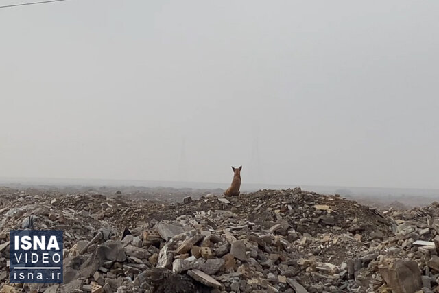 ویدئو / هشدار سطح قرمز آلودگی هوا برای شهرهای خوزستان 