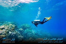 آموزش غواصی در کیش