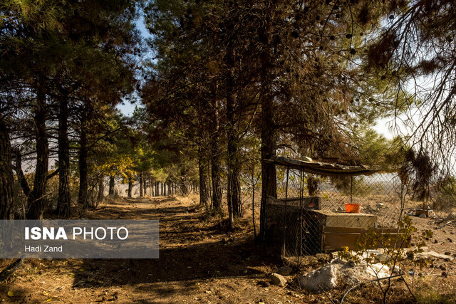 عکس آرشیوی است احداث ۱۳ سایت اسکان اضطراری در ۹ بوستان پایتخت/ ضرورت تأمین بودجه برای برق مراکز اسکان اضطراری پایتخت