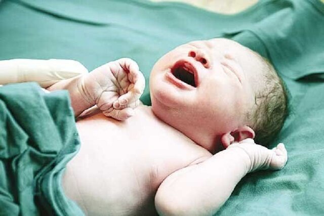 تولد بیش از ۷۰۰۰ نوزاد طی ۹ ماه امسال در خراسان شمالی