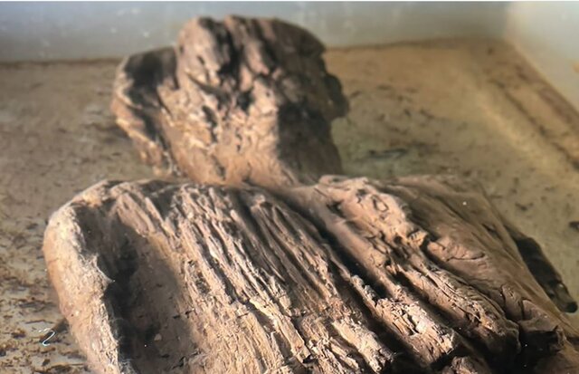 سال ۲۰۲۳ چشمانتظار کدام اخبار باستانشناسی باشیم؟