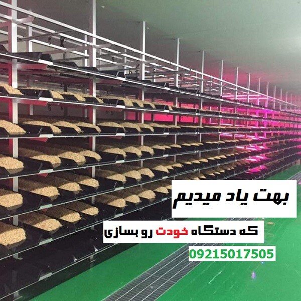 آموزش اصول کشت و تولید علوفه هیدروپونیک