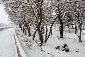 بارش برف در شهر سمنان