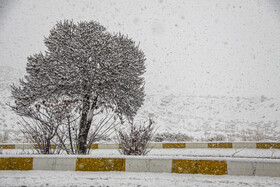 بارش برف در شهر سمنان