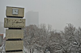 رخت سفید بر تن تبریز