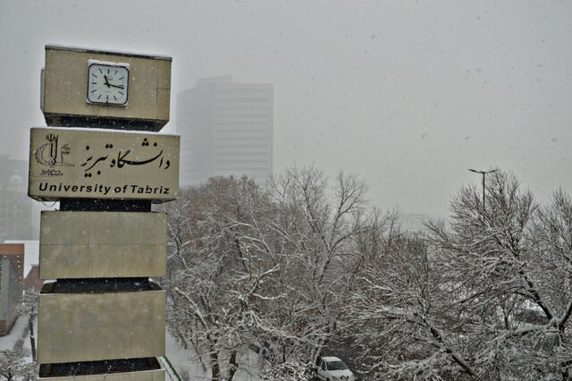 رخت سفید بر تن تبریز