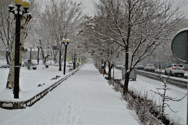 رخت سفید بر تن تبریز