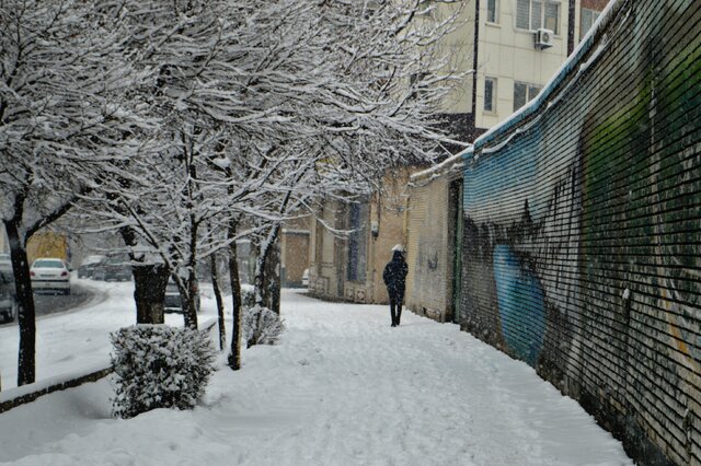 رخت سفید بر تن تبریز